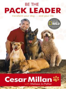 pack-leader-cesar-milan